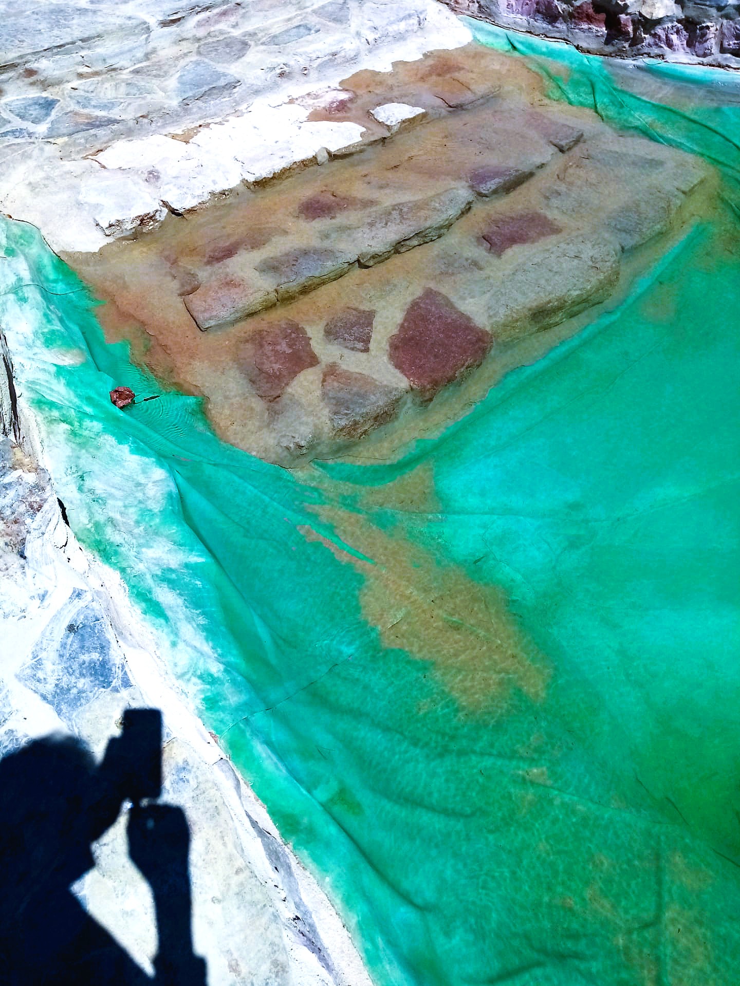 Piscina biológica rodeada por vegetação